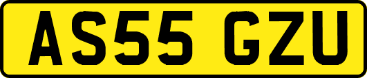 AS55GZU