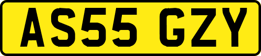 AS55GZY