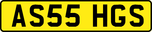 AS55HGS