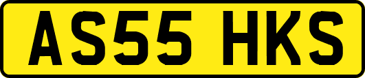 AS55HKS