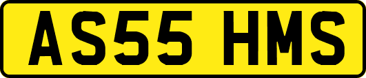 AS55HMS