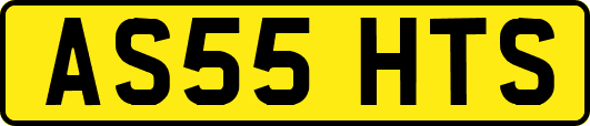 AS55HTS