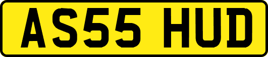 AS55HUD