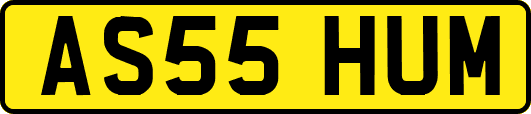AS55HUM