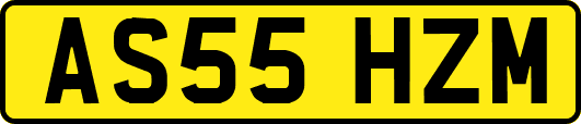 AS55HZM