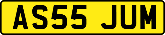 AS55JUM