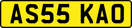 AS55KAO