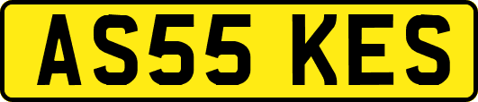 AS55KES
