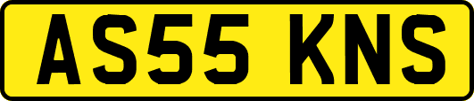 AS55KNS
