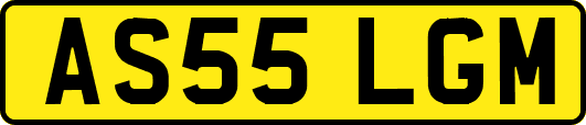 AS55LGM
