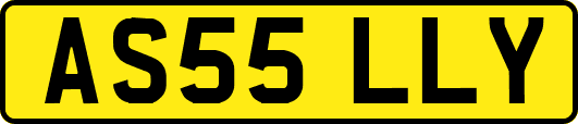 AS55LLY
