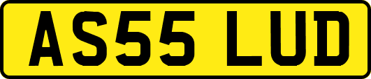 AS55LUD