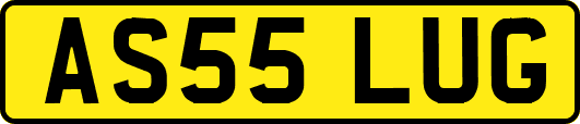 AS55LUG