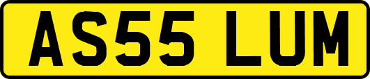 AS55LUM