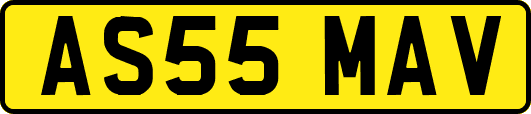 AS55MAV