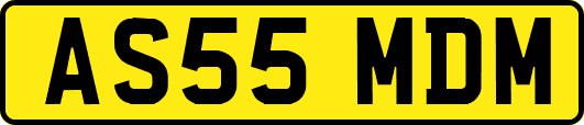 AS55MDM