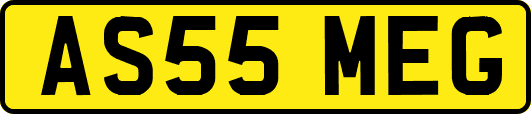 AS55MEG