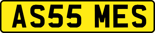 AS55MES