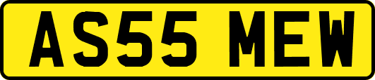 AS55MEW