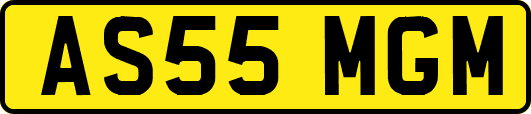 AS55MGM