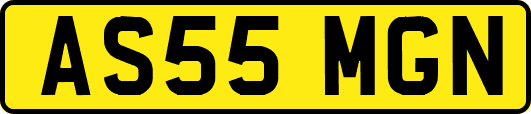 AS55MGN
