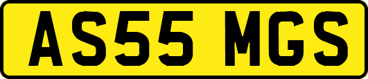 AS55MGS
