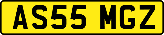 AS55MGZ