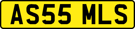 AS55MLS
