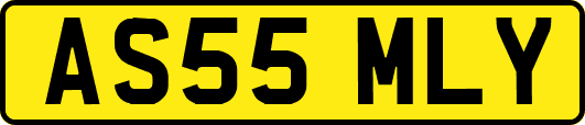 AS55MLY