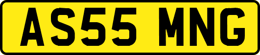 AS55MNG