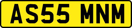 AS55MNM