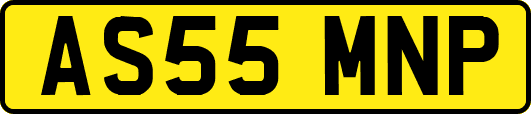 AS55MNP