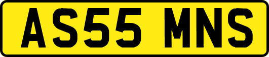 AS55MNS