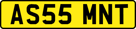 AS55MNT