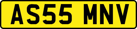 AS55MNV