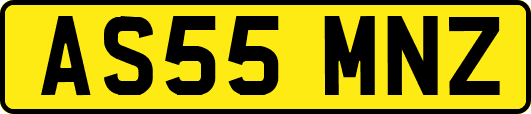 AS55MNZ