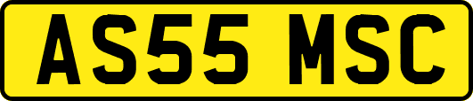AS55MSC