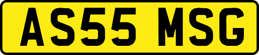 AS55MSG
