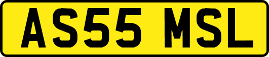 AS55MSL