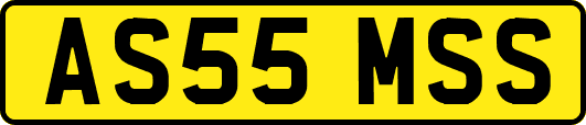AS55MSS