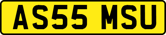 AS55MSU