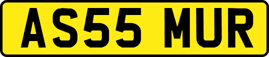 AS55MUR