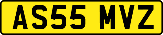AS55MVZ