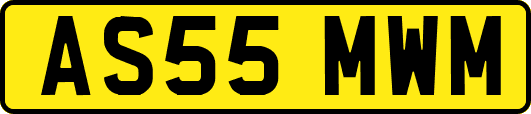AS55MWM