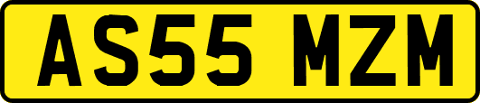AS55MZM