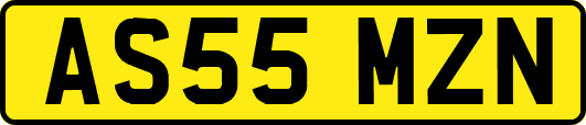AS55MZN