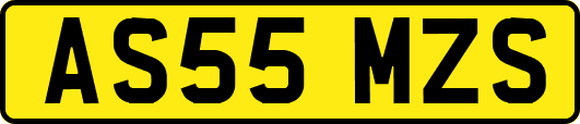 AS55MZS