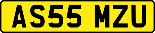 AS55MZU