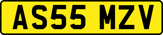AS55MZV