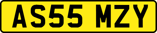 AS55MZY
